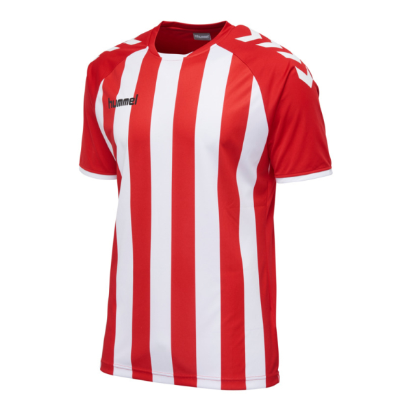 Koszulka Sportowa Hummel Core Striped S/S Jersey