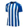 Koszulka Sportowa Hummel Core Striped S/S Jersey - obrazek 21