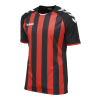 Koszulka Sportowa Hummel Core Kids Striped S/S Jersey - obrazek 6