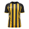 Koszulka Sportowa Hummel Core Kids Striped S/S Jersey - obrazek 7