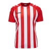 Koszulka Sportowa Hummel Core Kids Striped S/S Jersey - obrazek 2
