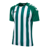 Koszulka Sportowa Hummel Core Kids Striped S/S Jersey - obrazek 15