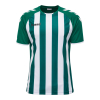 Koszulka Sportowa Hummel Core Kids Striped S/S Jersey - obrazek 13