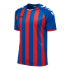 Koszulka Sportowa Hummel Core Kids Striped S/S Jersey - obrazek 18
