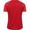 Koszulka Sportowa Hummel Authentic Pro Jersey S/S - obrazek 5