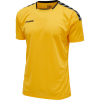 Koszulka Sportowa Hummel Authentic Poly Jersey S/S - obrazek 24