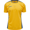Koszulka Sportowa Hummel Authentic Poly Jersey S/S - obrazek 2