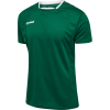 Koszulka Sportowa Hummel Authentic Poly Jersey S/S - obrazek 27