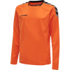 Koszulka Sportowa Hummel Authentic Kids Poly Jersey L/S - obrazek 12