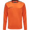 Koszulka Sportowa Hummel Authentic Kids Poly Jersey L/S - obrazek 10