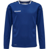 Koszulka Sportowa Hummel Authentic Kids Poly Jersey L/S - obrazek 13