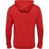Bluza Sportowa z Kapturem Hummel Authentic Poly Hoodie - obrazek 14