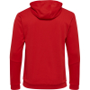 Bluza Sportowa z Kapturem Hummel Authentic Kids Poly Hoodie - obrazek 14