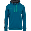 Bluza Sportowa z Kapturem Hummel Authentic Kids Poly Hoodie - obrazek 16