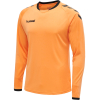 Zestaw Bramkarski Bluza + Spodenki Hummel Core GK Set - obrazek 25