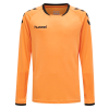 Zestaw Bramkarski Bluza + Spodenki Hummel Core Kids GK Set - obrazek 9