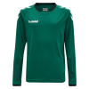 Zestaw Bramkarski Bluza + Spodenki Hummel Core Kids GK Set - obrazek 16