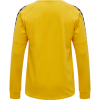 Bluza Sportowa Hummel Authentic Training Sweat - obrazek 5