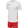 Zestaw Koszulka + Spodenki Hummel Promo Kids Duo Set - obrazek 48