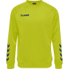 Bluza Sportowa Hummel Promo Kids Poly Sweatshirt - obrazek 11