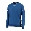 Bluza Sportowa Hummel Authentic Charge Cotton Sweatshirt - obrazek 12