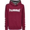 Bluza Sportowa z Kapturem Hummel Kess Kids Hoodie - obrazek 2