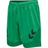 Spodenki Sportowe Hummel Lead Poly Shorts - obrazek 24