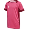 Koszulka Sportowa Hummel Lead Kids S/S Poly Jersey - obrazek 13