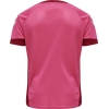 Koszulka Sportowa Hummel Lead Kids S/S Poly Jersey - obrazek 14