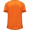 Koszulka Sportowa Hummel Lead Kids S/S Poly Jersey - obrazek 17