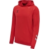 Bluza Sportowa z Kapturem Hummel Lead Poly Hoodie - obrazek 10