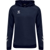 Bluza Sportowa z Kapturem Hummel Lead Poly Hoodie - obrazek 18