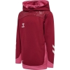 Bluza Sportowa z Kapturem Hummel Lead Kids Poly Hoodie - obrazek 13