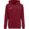 Bluza Sportowa z Kapturem Hummel Promo Poly Hoodie - obrazek 9