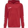 Bluza Sportowa z Kapturem Hummel Promo Kids Poly Hoodie - obrazek 17