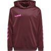 Bluza Sportowa z Kapturem Hummel Promo Kids Poly Hoodie - obrazek 15