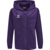 Bluza Sportowa z Kapturem Hummel Core XK Kids Poly Zip Hood Sweat - obrazek 10