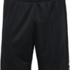Spodenki hmlESSENTIAL SHORTS r. L - obrazek 2
